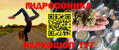 скорость Гатчина