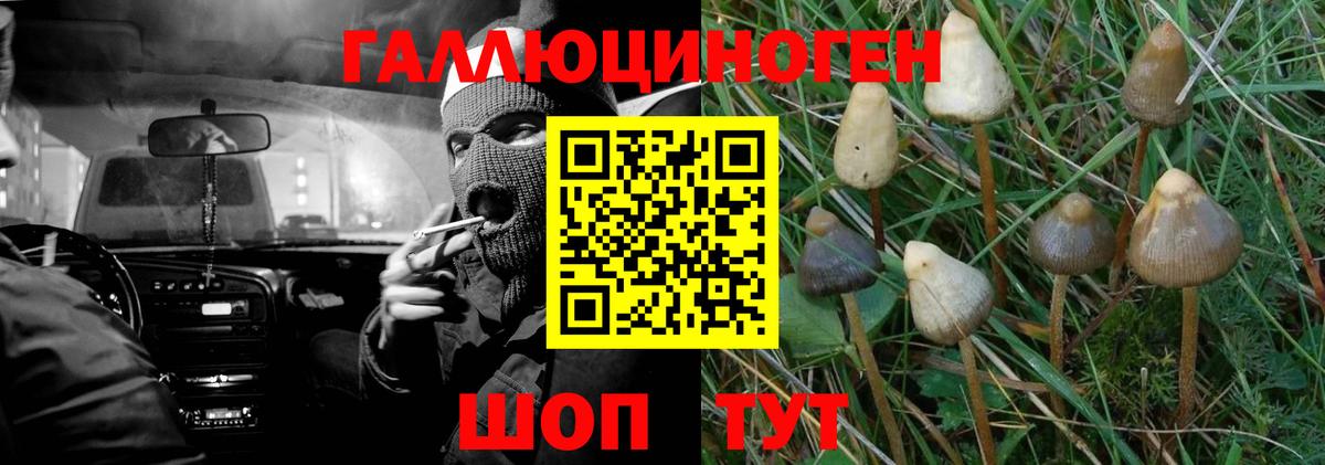 Галлюциногенные грибы ЛСД  Вход с VPN  Кудрово 